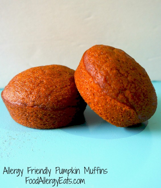 Allergy Friendly Pumpkin Muffins @FoodAllergyEats