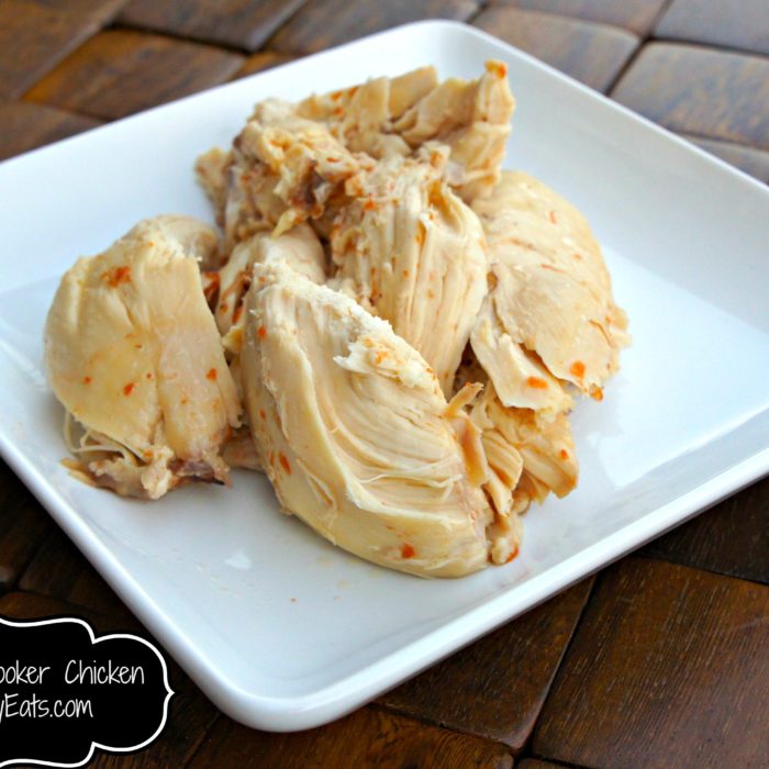 Tangy Slow Cooker Chicken via FoodAllergyEats.com