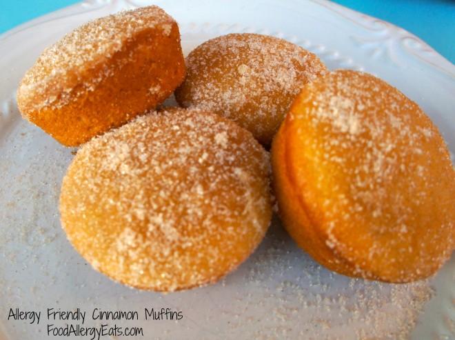 Cinnamon Muffins from FoodAllergyEats.com