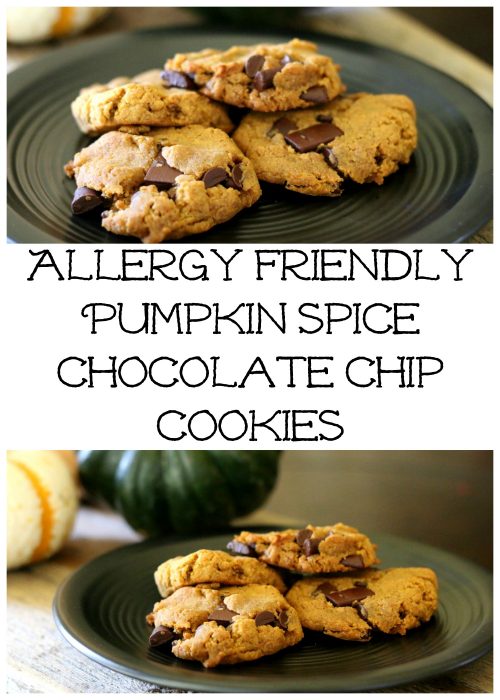allergy friendly pumpkin spice chocolate chip cookies